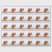 Papier Cadeau Écureuil rouge (Plat)