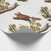 Papier Cadeau Écureuil volant de l'Oregon (Pteromys Origonensis) (Coin)