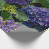 Papier Cadeau Elégant bleu violet magenta vert hydrangée florale (Coin)