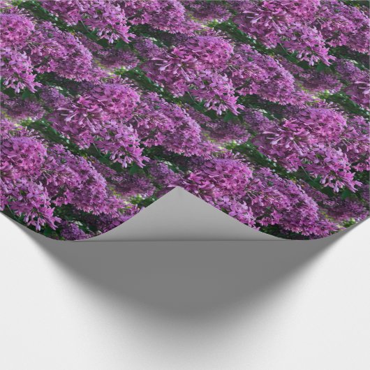 Papier Cadeau Élégant lilas violet romantique rose floral photo (Coin)