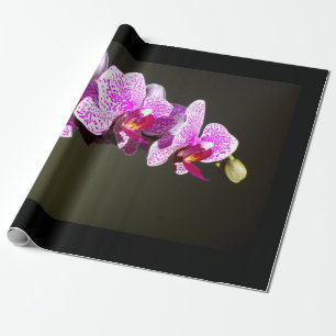 Papier Cadeau Elégante orchidée rose tropicale photo florale