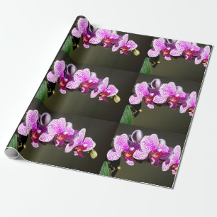 Papier Cadeau Elégante orchidée rose tropicale photo florale