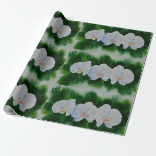 Papier Cadeau Elégante peinture d'orchidée tropicale blanche
