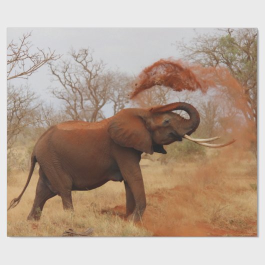 Papier Cadeau Éléphant (Plat)