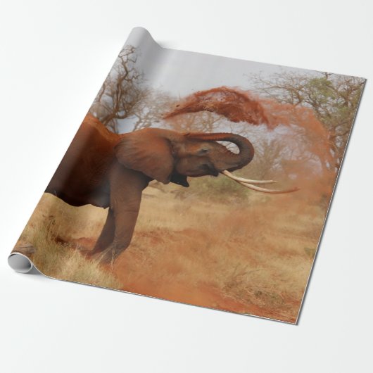 Papier Cadeau Éléphant (Déroulé)