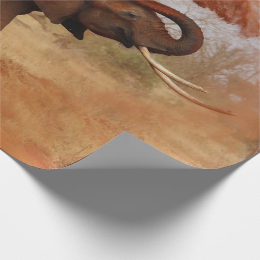 Papier Cadeau Éléphant (Coin)