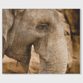 PAPIER CADEAU ÉLÉPHANT (Plat)