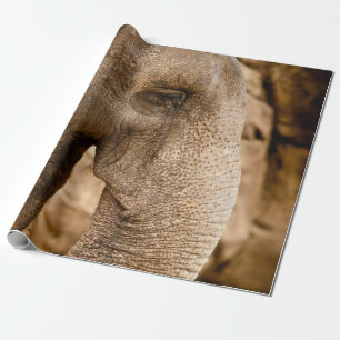 PAPIER CADEAU ÉLÉPHANT