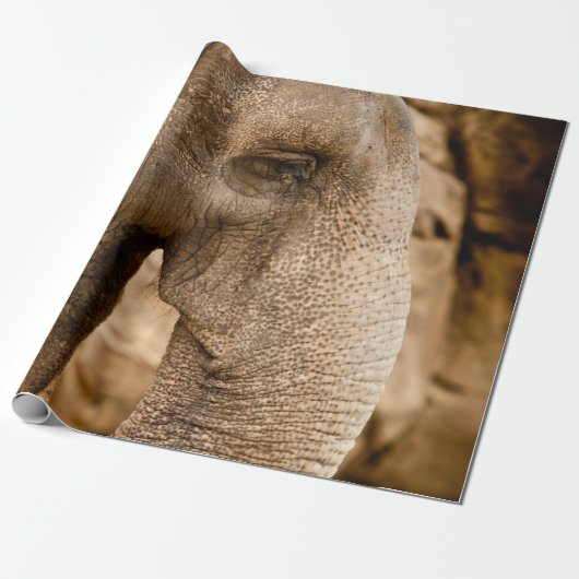 PAPIER CADEAU ÉLÉPHANT (Déroulé)