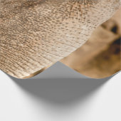 PAPIER CADEAU ÉLÉPHANT (Coin)