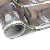 Papier Cadeau Eléphant bébé doux (Coin rond)