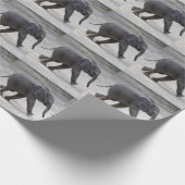 Papier Cadeau Eléphant bébé doux Kibali (Coin)