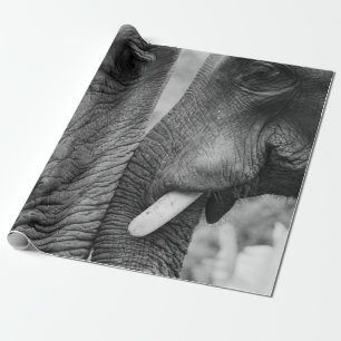 PAPIER CADEAU ELEPHANT COUPLE