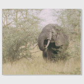 PAPIER CADEAU ÉLÉPHANT MANGEANT D'UN ARBRE (Plat)