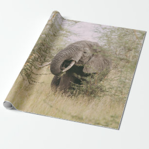 PAPIER CADEAU ÉLÉPHANT MANGEANT D'UN ARBRE