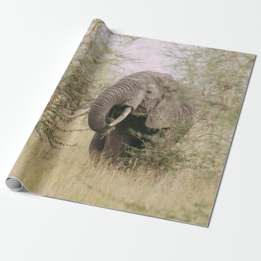 PAPIER CADEAU ÉLÉPHANT MANGEANT D'UN ARBRE (Déroulé)