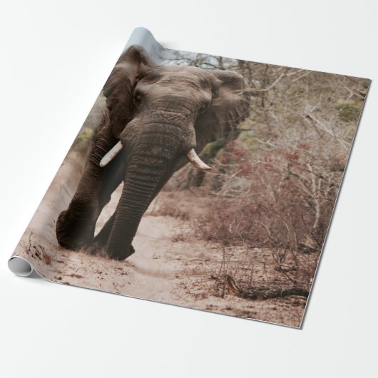 PAPIER CADEAU ÉLÉPHANT NOIR MARCHANT SUR SABLE BROWN (Déroulé)