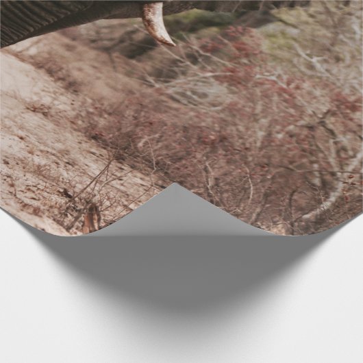 PAPIER CADEAU ÉLÉPHANT NOIR MARCHANT SUR SABLE BROWN (Coin)