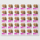 Papier Cadeau Éléphant Qu'avez-vous dit ? (Plat)