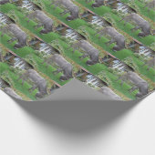 Papier Cadeau Élevage de l'âne (Coin)