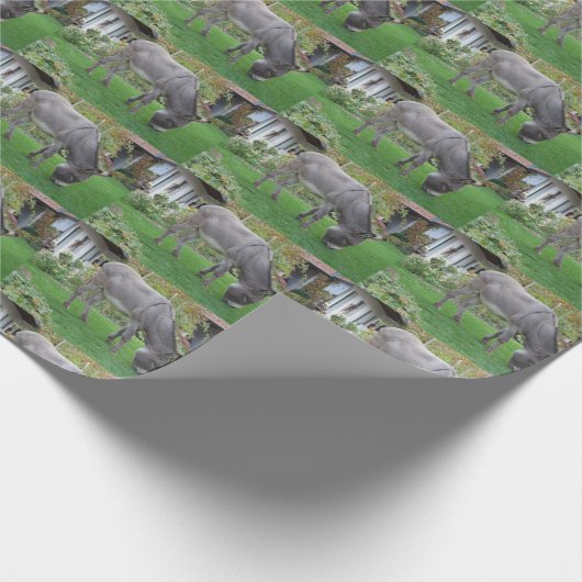 Papier Cadeau Élevage de l'âne (Coin)