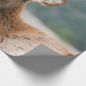 PAPIER CADEAU ELK IN ROCKY MOUNTAIN NATIONAL PARK - ELK HERDS GR (Coin)