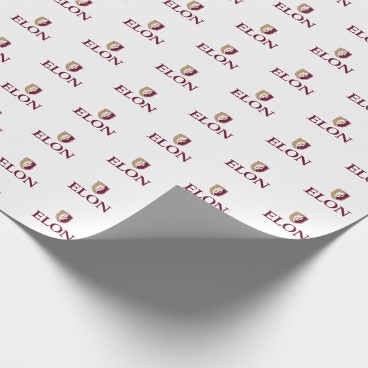 Papier Cadeau Elon (Coin)