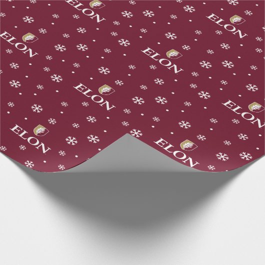 Papier Cadeau Elon (Coin)