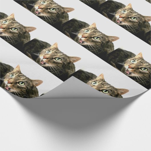 Papier Cadeau Elvis (Coin)