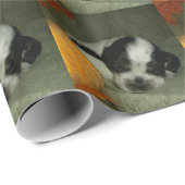 Papier Cadeau ELVIS, chiot américain &tan rouan bleu de cocker (Coin rond)