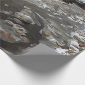 Papier Cadeau Empreinte de pas glaciale en rivière (Coin)