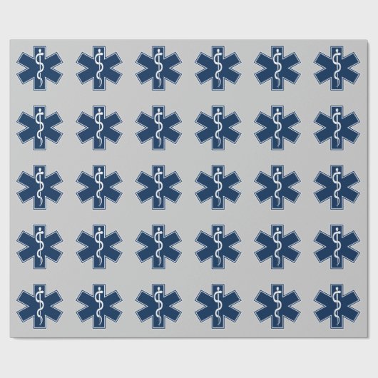 Papier Cadeau EMS EMT paramétré (Plat)