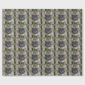 Papier cadeau en bulldog (Plat)