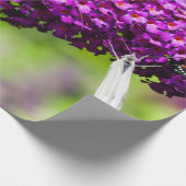 Papier Cadeau énergie katydone (Coin)