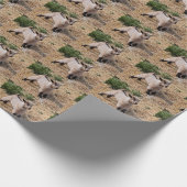 Papier cadeau enfant mignon (Coin)
