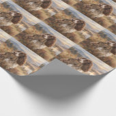 Papier Cadeau English Springer Spaniel (Coin)
