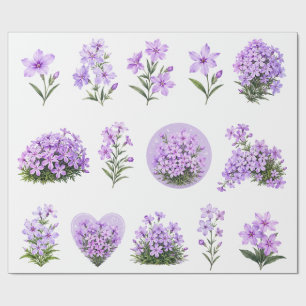 Papier Cadeau Ensemble botanique de fleurs sauvages de Phlox ram