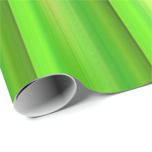Papier Cadeau Ensemble de bambou vert