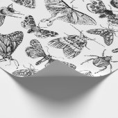 Papier Cadeau Entomologie Papier Bugs Insectes Enveloppement Cad (Coin)