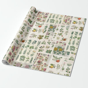 Papier Cadeau Enveloppe botanique Vintage pour découpage ou env