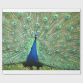 Papier Cadeau Enveloppe cadeau - Peacock (Plat)