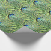 Papier Cadeau Enveloppe cadeau - Peacock (carrelé) (Coin)