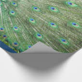 Papier Cadeau Enveloppe cadeau - Peacock (v.2) (Coin)