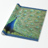 Papier Cadeau Enveloppe cadeau - Peacock (v.2) (Déroulé)