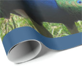 Papier Cadeau Enveloppe cadeau - Peacock (v.2) (Coin rond)