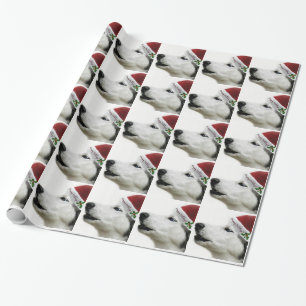 Papier Cadeau Enveloppe de cadeau de chien de traîneau sibérie