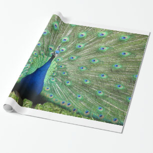 Papier Cadeau Enveloppe de cadeau - paon