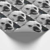 Papier Cadeau Enveloppe de cadeau stationnaire de bouledogue (Coin)