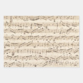 Papier Cadeau Enveloppe de découpage de musique de feuille manus (Devant 3)