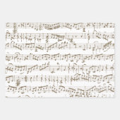 Papier Cadeau Enveloppe de découpage de musique de feuille manus (Devant 2)